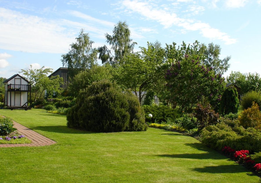Flat surface of the lawn in the garden