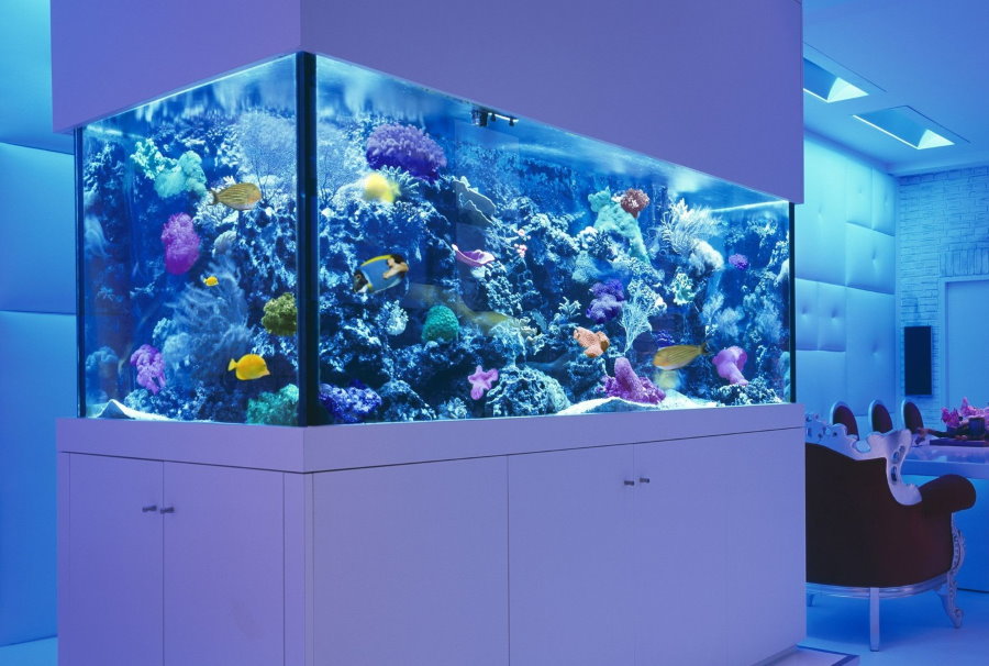 Ingebouwd aquarium in maritieme stijl