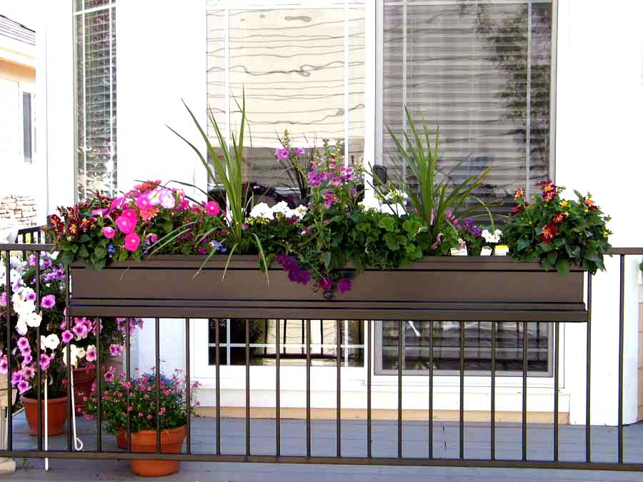 Gyvi augalai gėlių krepšyje ant balkono turėklų