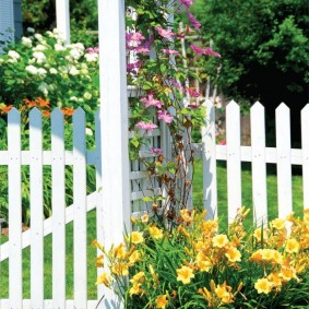 hàng rào trang trí cho ý tưởng thiết kế sân vườn