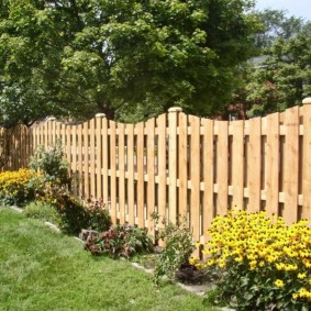 hàng rào trang trí cho trang trí hình ảnh vườn