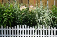 idéias de decoração de vedação decorativa de jardim