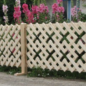 opțiuni pentru garduri de grădină decorative
