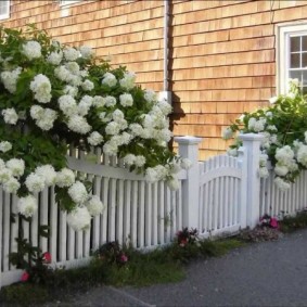 gard decorativ pentru grădină