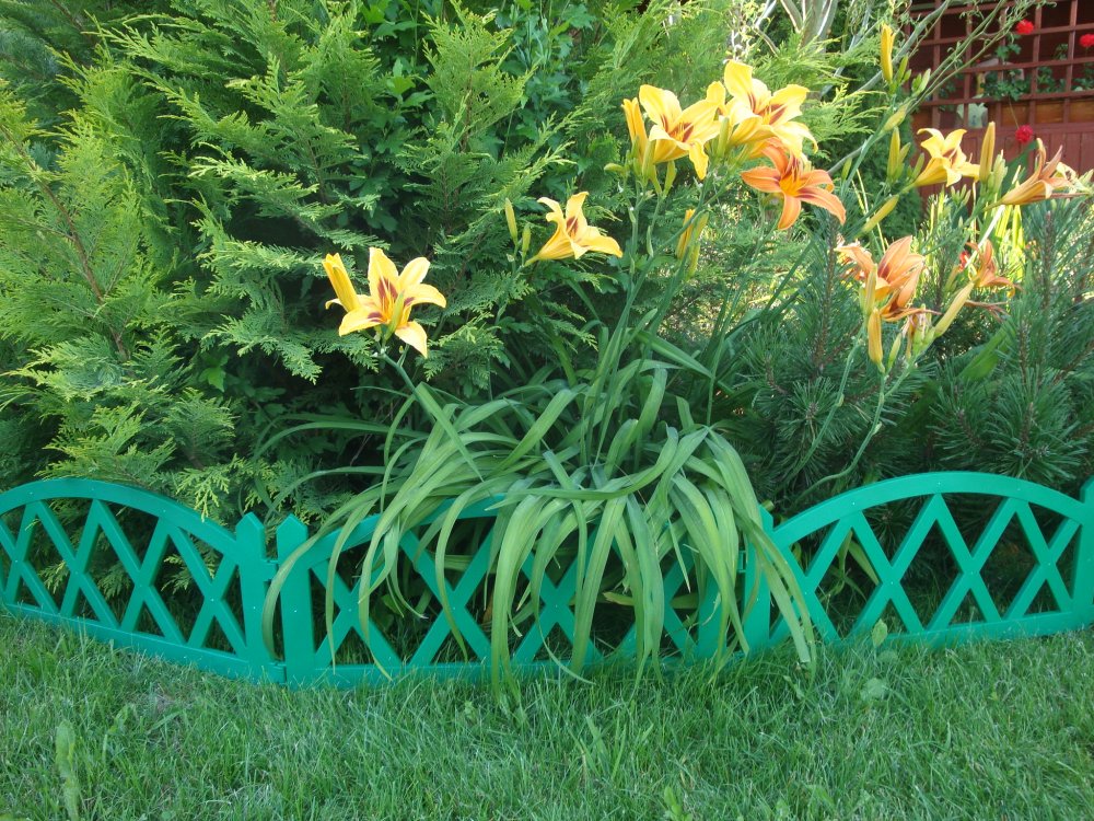 plastic decorative fence
