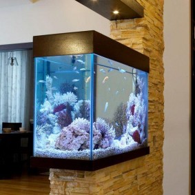 Kanomuurdecoratie met aquarium