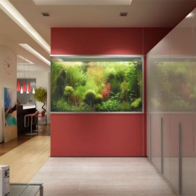 Aquarium in de halmuur van een landhuis