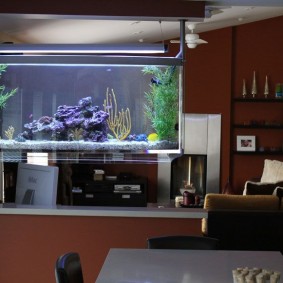 Organisatie van verlichting in het aquarium aan de bar