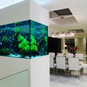 Aquariumdecoratie van de keuken-woonkamer