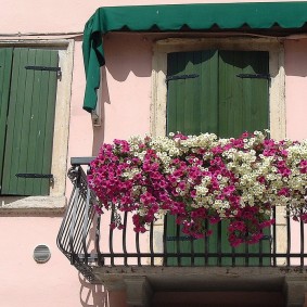Beautiful balcony with flowers on the railing