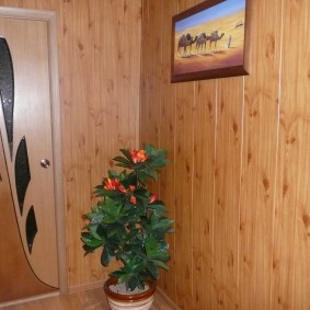 Floare de interior în colțul coridorului cu tapițerie din lemn