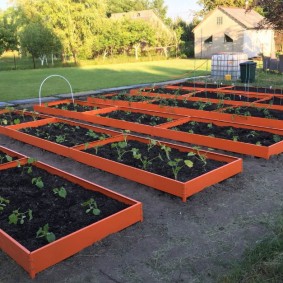 Garden beds with metal sides