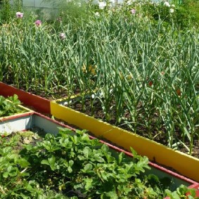 Galvanized vegetable beds