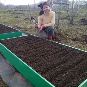 Preparing a raised bed for sowing vegetables