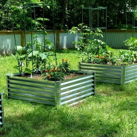 Cucumbers and marigolds on a single bed of metal