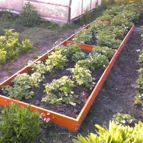 Raised bed in a well-kept area