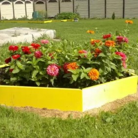Yellow flowerbed with beautiful flowers