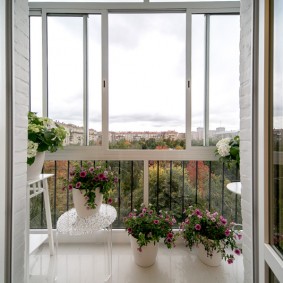 Bloeiende petunia in potten op het balkon