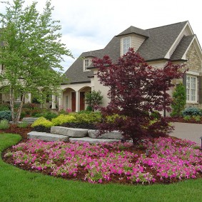 Beautiful flowerbed in the country