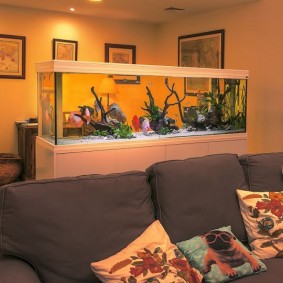 Kamerinterieur met aquarium in de scheidingswand