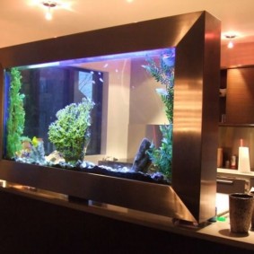 Transparant aquarium op de balk