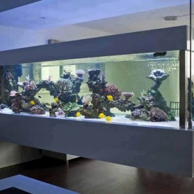 Hangend aquarium in Japanse stijl