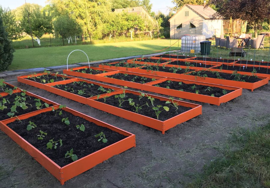 Bright galvanized beds with planted seedlings