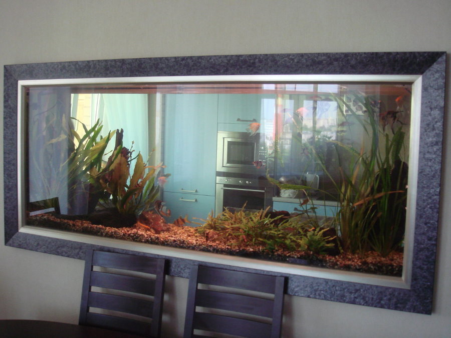 Transparant aquarium in een dunne binnenwand