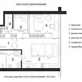 Priekšnama shēma pēc pārbūves studijas tipa dzīvoklī