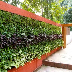 vertical landscaping photo
