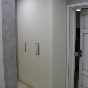 wardrobe with swing doors to the entrance hall interior ideas