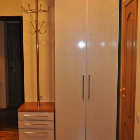 cabinet with hinged doors to the entrance hall ideas